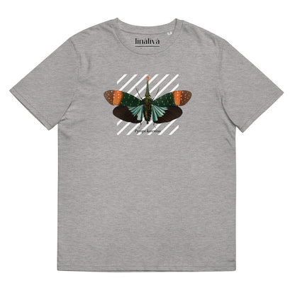 Unisex t-shirt made from organic cotton